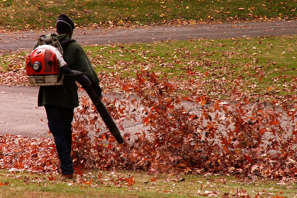 Seasonal Cleanup