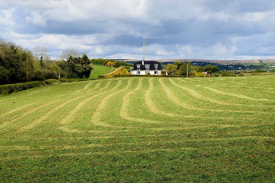 Lawn